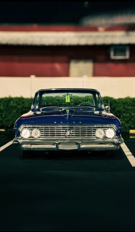 Impala