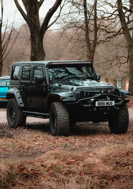 Wrangler in the woods