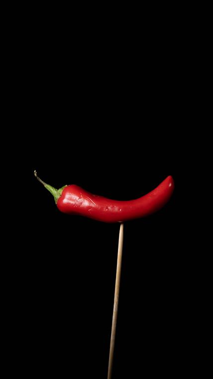 Chilli, before the fire
