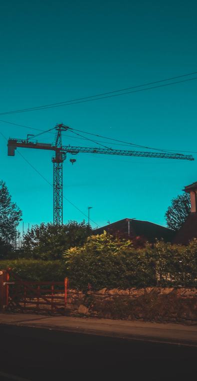 Crane at golden hour