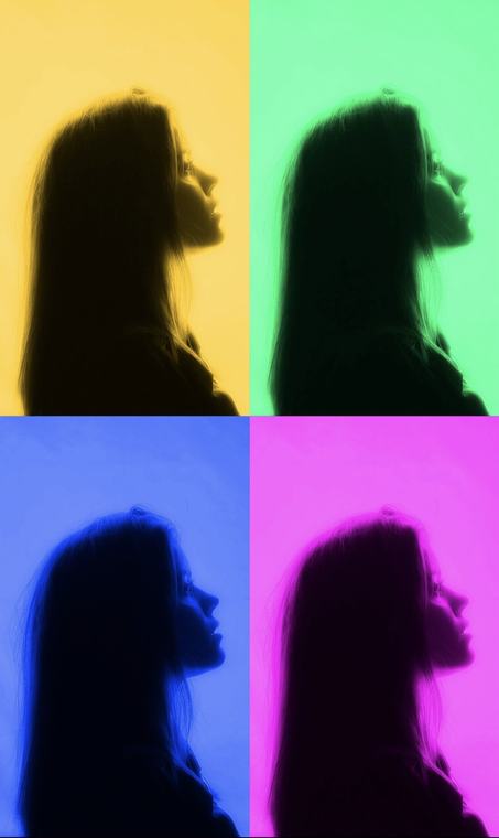 Silhouette in four colours