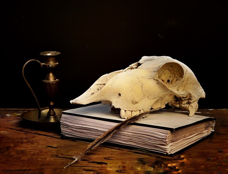Vanitas still life